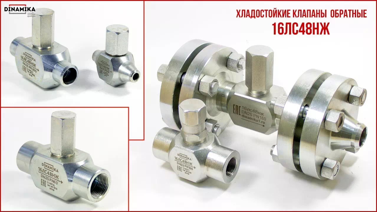 16лс48нж Клапан обратный подъёмный в Нижневартовске